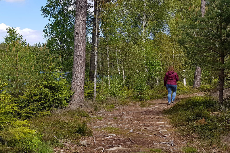 En kvinna vandrar i skogen bland träd och buskar på Hallandsleden.